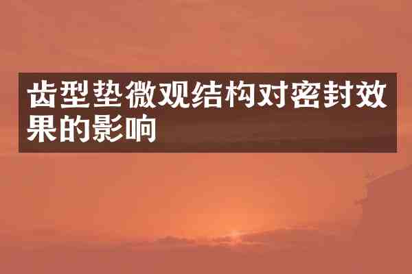 齿型垫微观结构对密封效果的影响