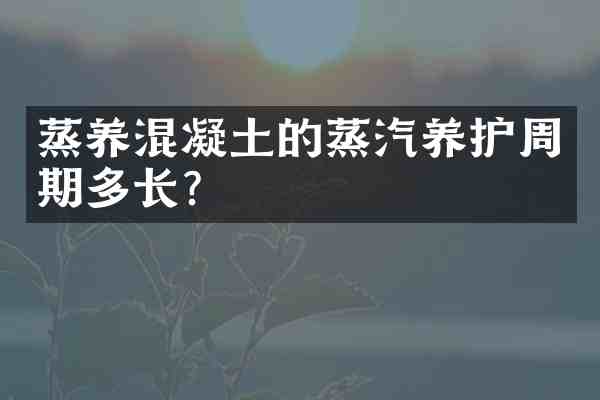 蒸养混凝土的蒸汽养护周期多长?