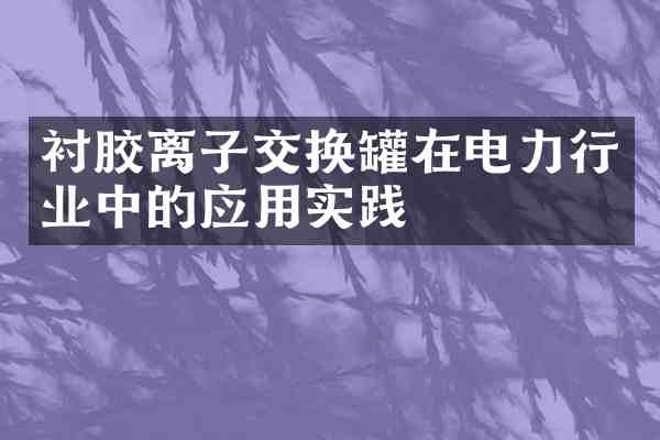 衬胶离子交换罐在电力行业中的应用实践