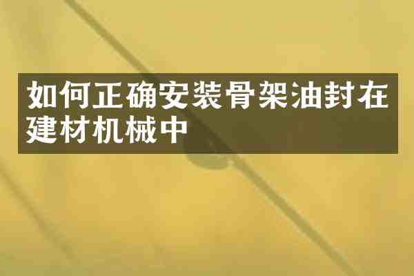 如何正确安装骨架油封在建材机械中