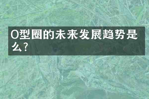 O型圈的未来发展趋势是什么?