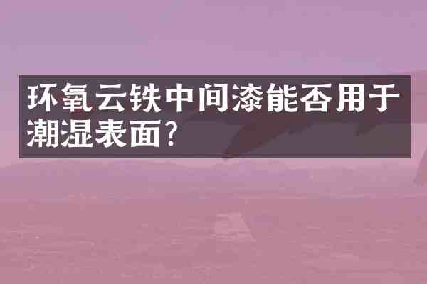 环氧云铁中间漆能否用于潮湿表面？