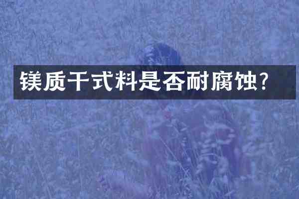 镁质干式料是否耐腐蚀?
