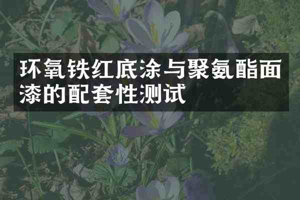 环氧铁红底涂与聚氨酯面漆的配套性测试