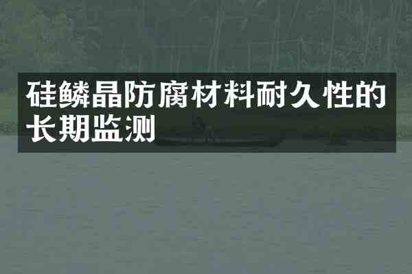 硅鳞晶防腐材料耐久性的长期监测