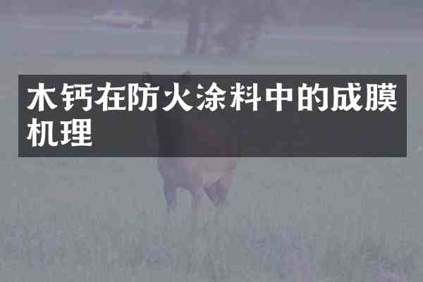 木钙在防火涂料中的成膜机理