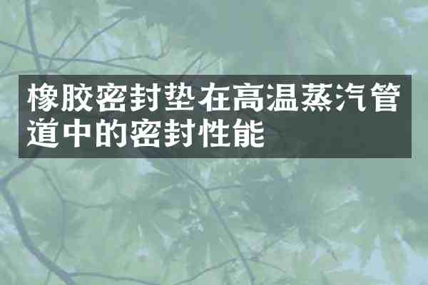 橡胶密封垫在高温蒸汽管道中的密封性能