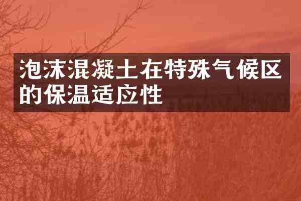 泡沫混凝土在特殊气候区的保温适应性