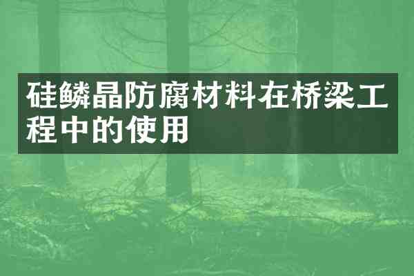 硅鳞晶防腐材料在桥梁工程中的使用