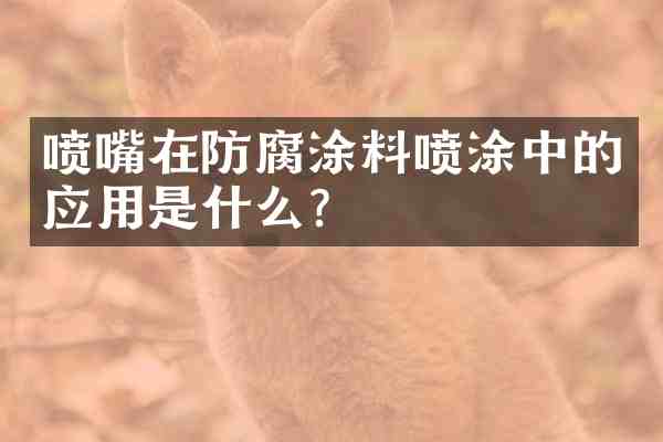 喷嘴在防腐涂料喷涂中的应用是什么?