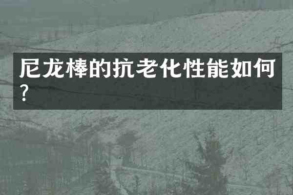尼龙棒的抗老化性能如何?
