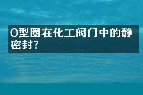 O型圈在化工阀门中的静态密封?