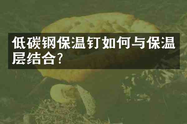 低碳钢保温钉如何与保温层结合?
