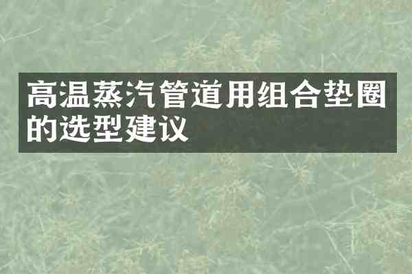 高温蒸汽管道用组合垫圈的选型建议