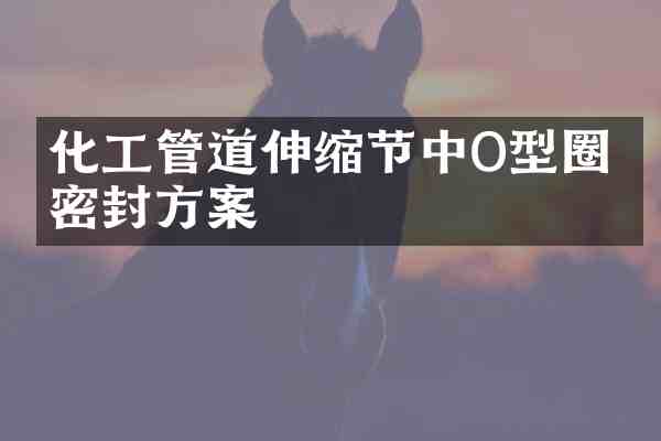 化工管道伸缩节中O型圈的密封方案