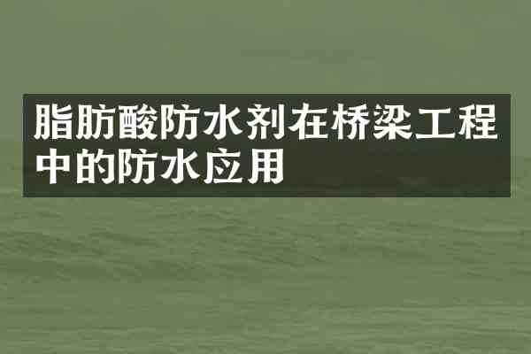 脂肪酸防水剂在桥梁工程中的防水应用