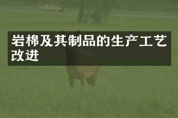 岩棉及其制品的生产工艺改进