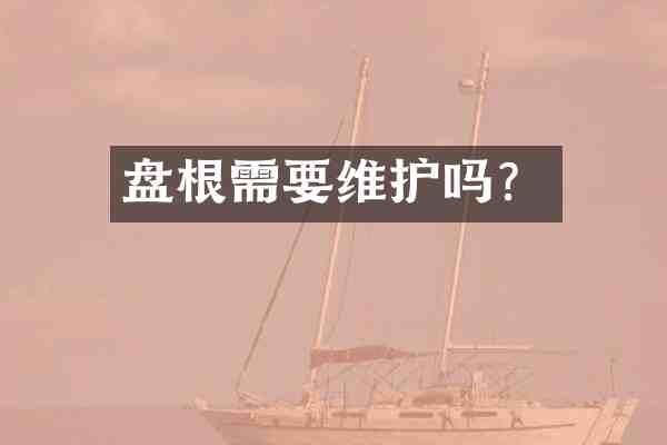 盘根需要维护吗?