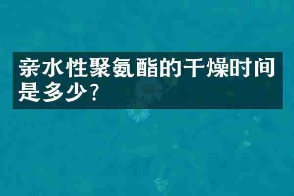 亲水性聚氨酯的干燥时间是多少?
