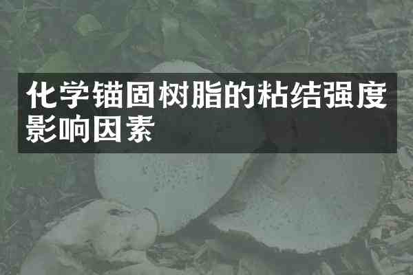 化学锚固树脂的粘结强度影响因素