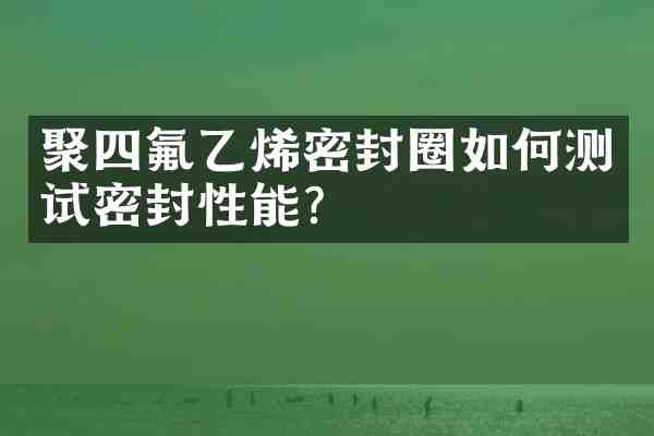 聚四氟乙烯密封圈如何测试密封性能?