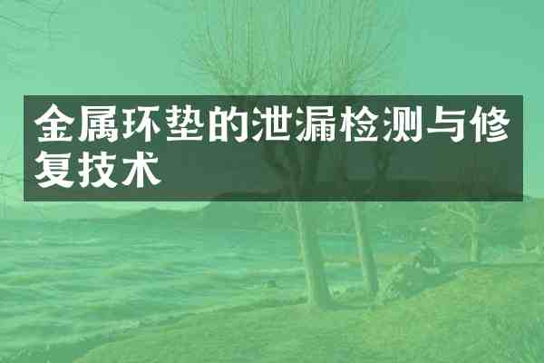 金属环垫的泄漏检测与修复技术
