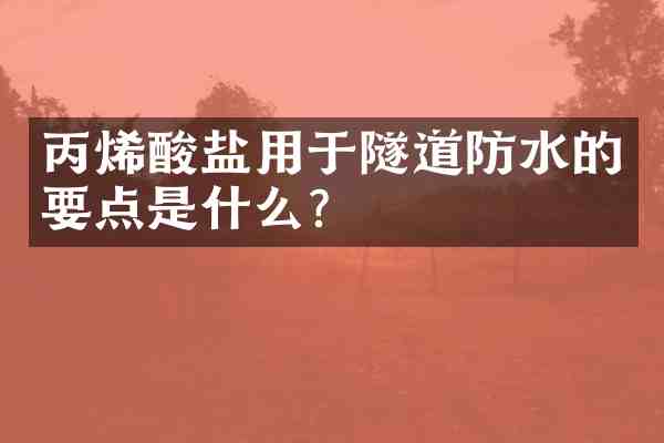 丙烯酸盐用于隧道防水的要点是什么?