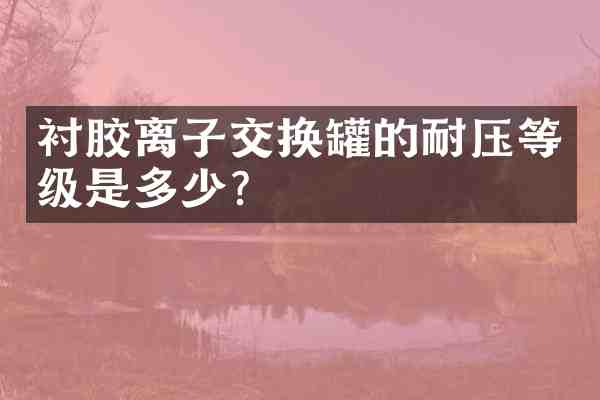 衬胶离子交换罐的耐压等级是多少?