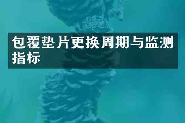 包覆垫片更换周期与监测指标