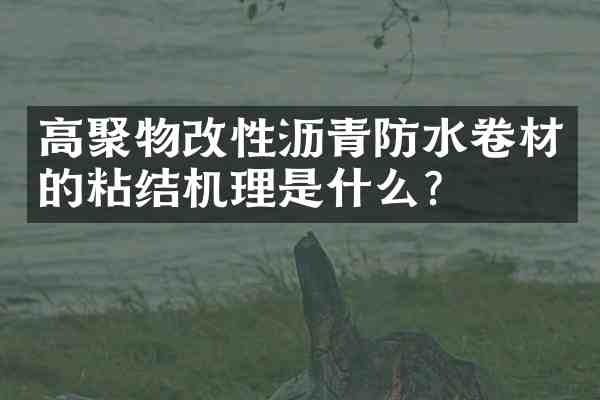 高聚物改性沥青防水卷材的粘结机理是什么？