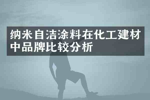 纳米自洁涂料在化工建材中品牌比较分析