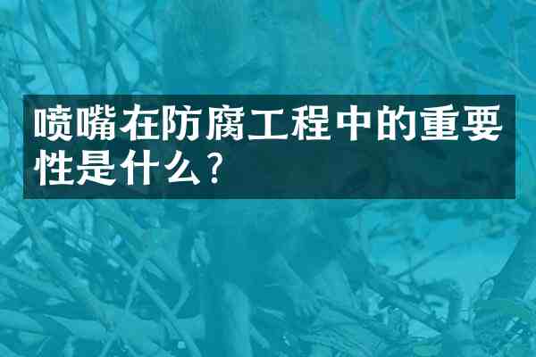 喷嘴在防腐工程中的重要性是什么?
