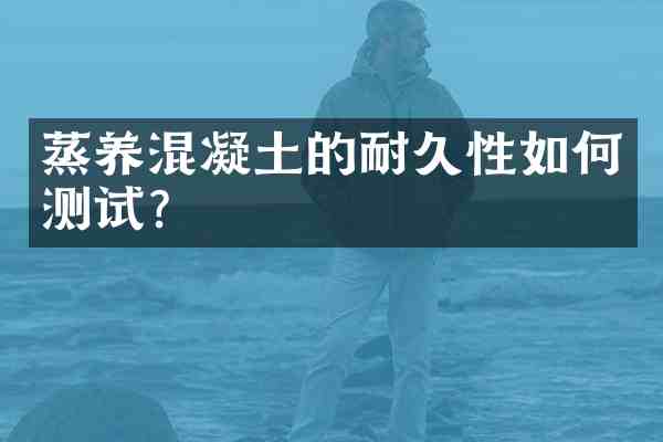 蒸养混凝土的耐久性如何测试?