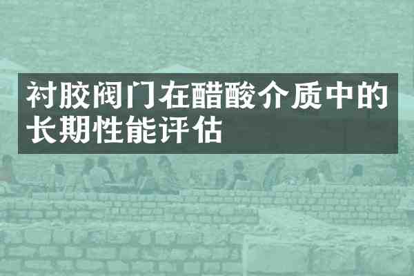 衬胶阀门在醋酸介质中的长期性能评估