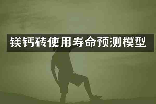 镁钙砖使用寿命预测模型