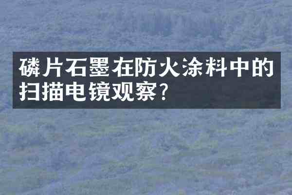 磷片石墨在防火涂料中的扫描电镜观察?