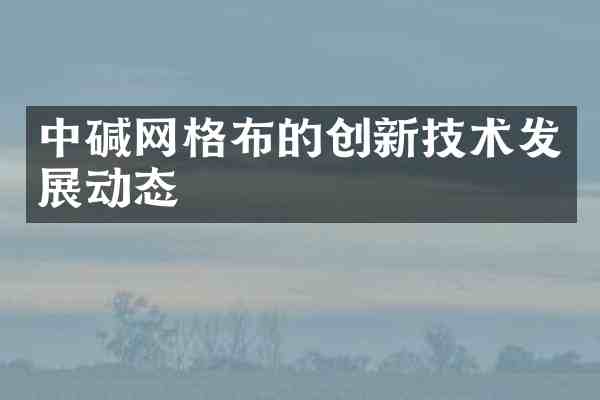 中碱网格布的创新技术发展动态