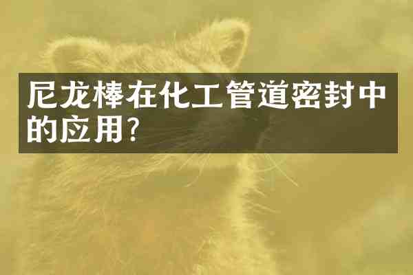 尼龙棒在化工管道密封中的应用？