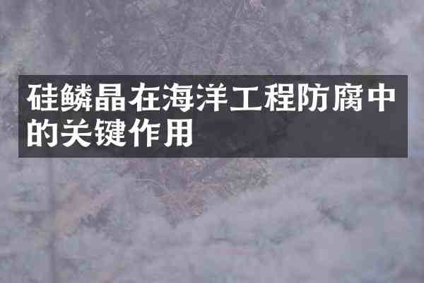 硅鳞晶在海洋工程防腐中的关键作用