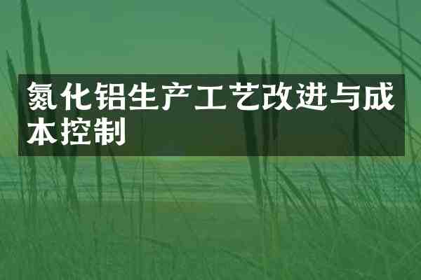 氮化铝生产工艺改进与成本控制