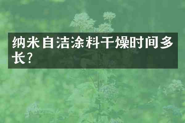 纳米自洁涂料干燥时间多长?