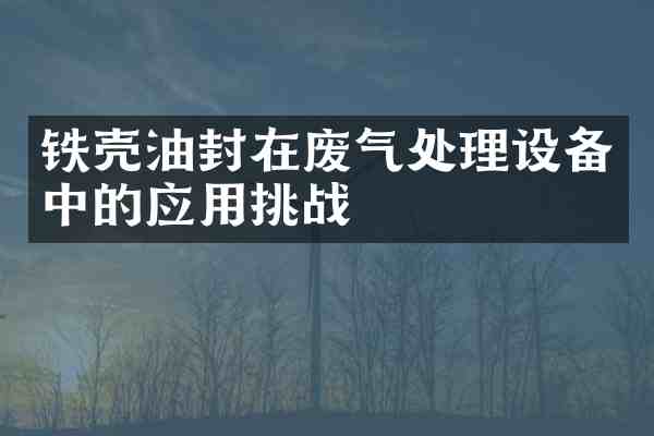铁壳油封在废气处理设备中的应用挑战