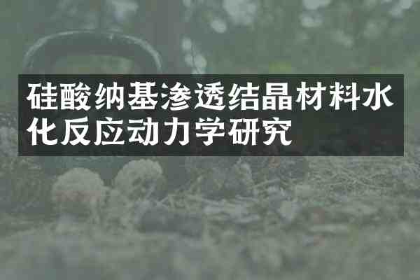 硅酸纳基渗透结晶材料水化反应动力学研究