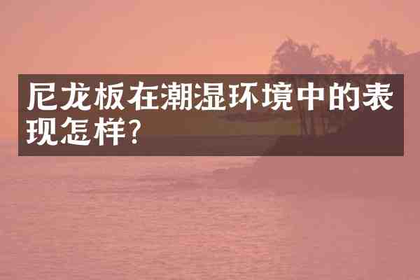 尼龙板在潮湿环境中的表现怎样？