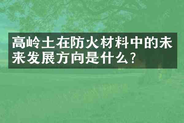 高岭土在防火材料中的未来发展方向是什么？