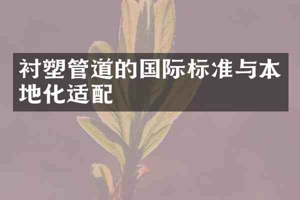 衬塑管道的国际标准与本地化适配