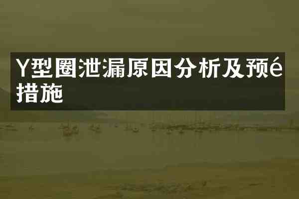 Y型圈泄漏原因分析及预防措施
