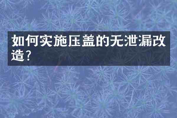如何实施压盖的无泄漏改造?