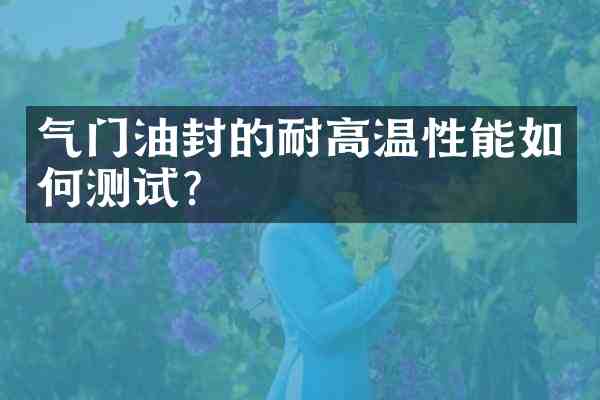 气门油封的耐高温性能如何测试？