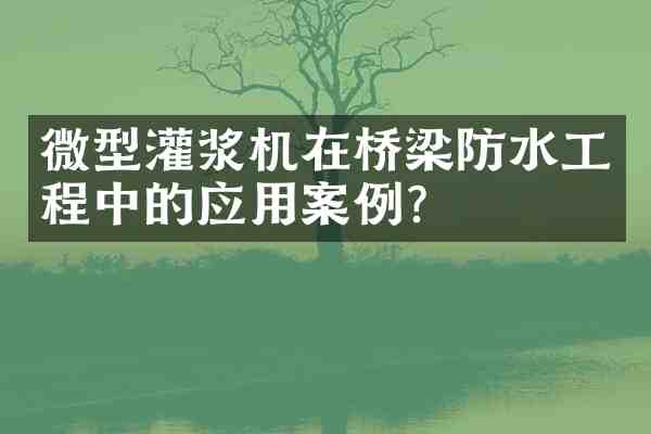 微型灌浆机在桥梁防水工程中的应用案例?